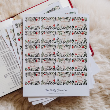 Daily Grace Rust Floral Bible Tabs