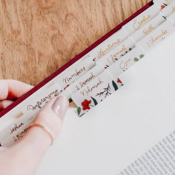 Daily Grace Rust Floral Bible Tabs