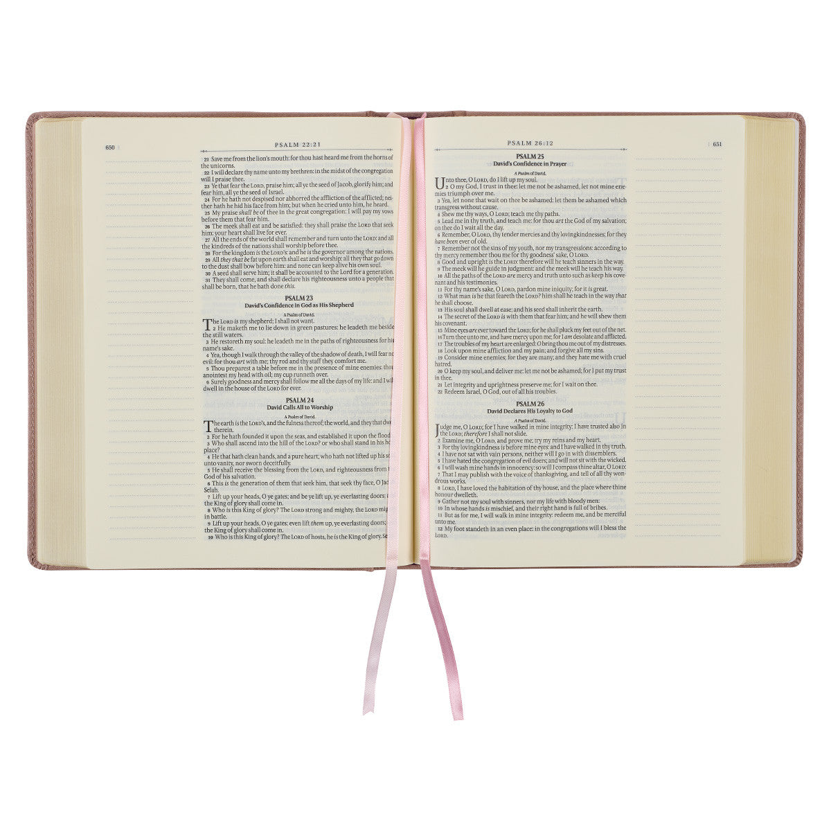 Pearlescent Mauve Faux Leather Hardcover Large Print KJV Note-taking Bible