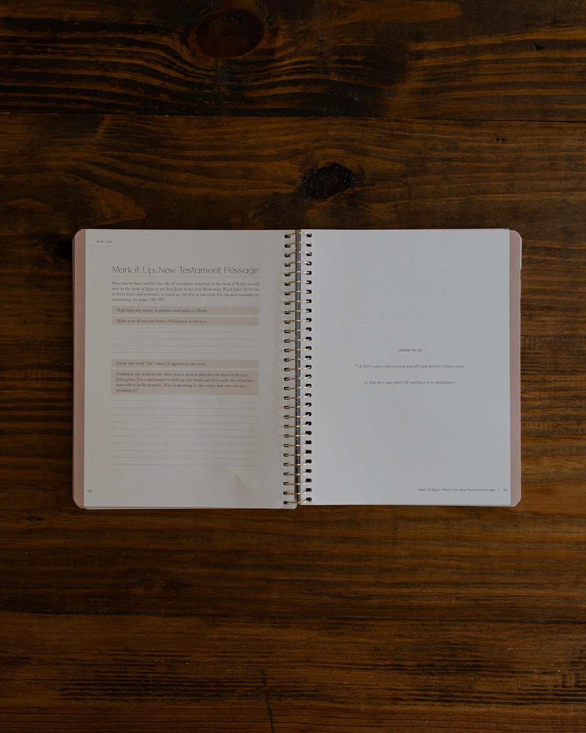 Christ in All of Scripture | Volume 1 | Year-Long Bible Study