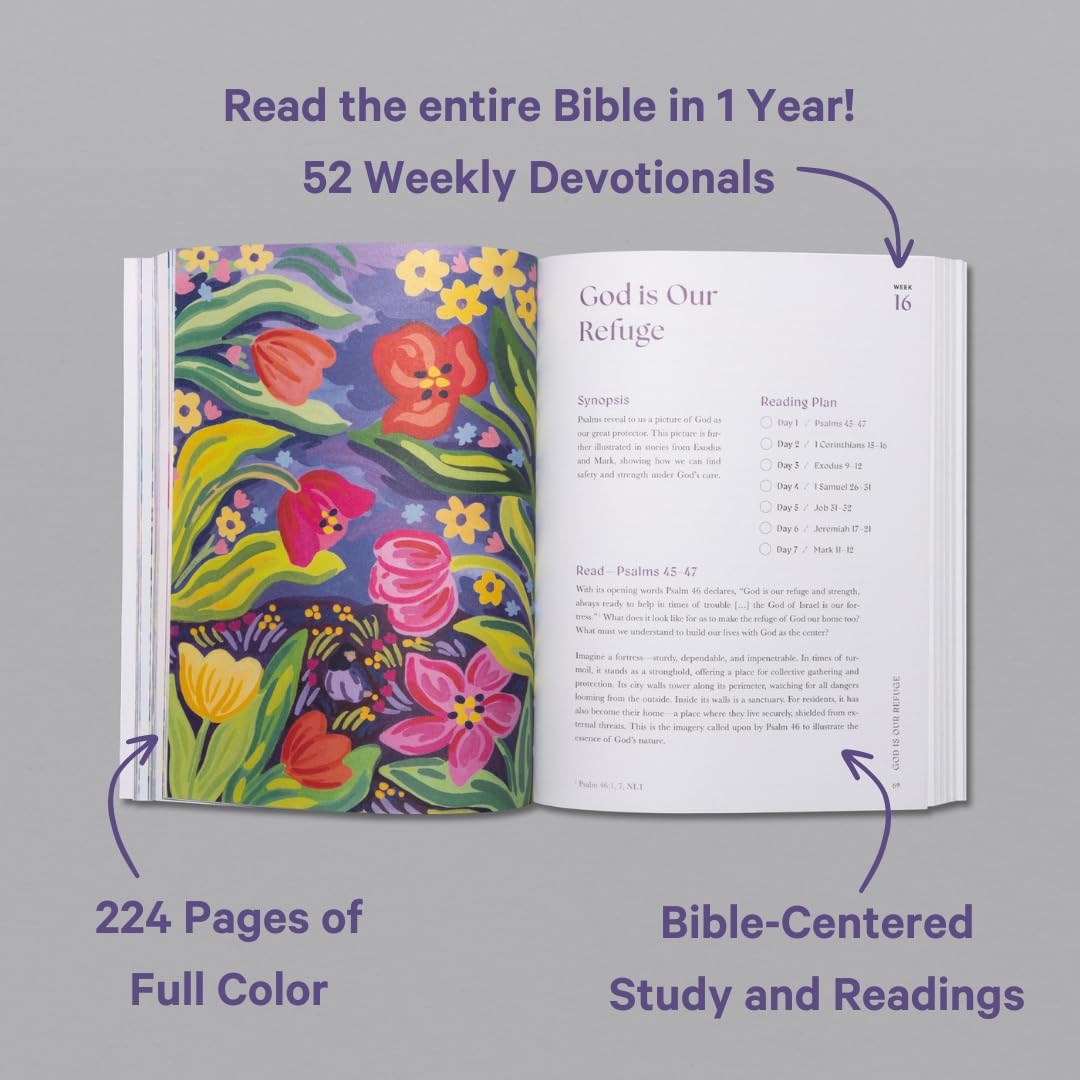 A Beautiful Year in the Bible: The 52- Week Bible Study for Women