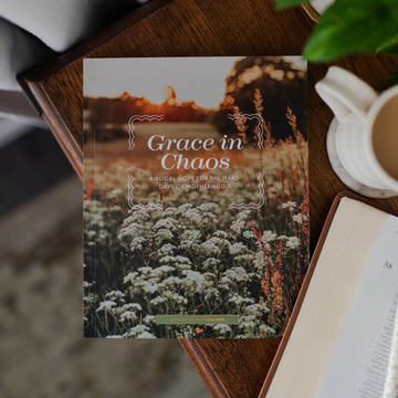 Grace in Chaos Motherhood Bible Study