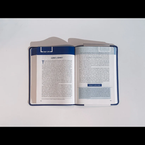 The Bible Recap: Personal Size