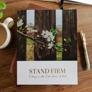 Stand Firm | Armor of God Study