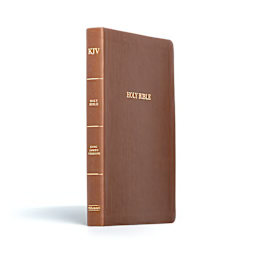 Holman KJV Large Print Thinline Bible, Value Edition, Brown LeatherTouch