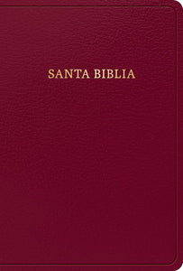 RVR 1960 Biblia letra grande tamaño manual, borgoña, imitación piel
