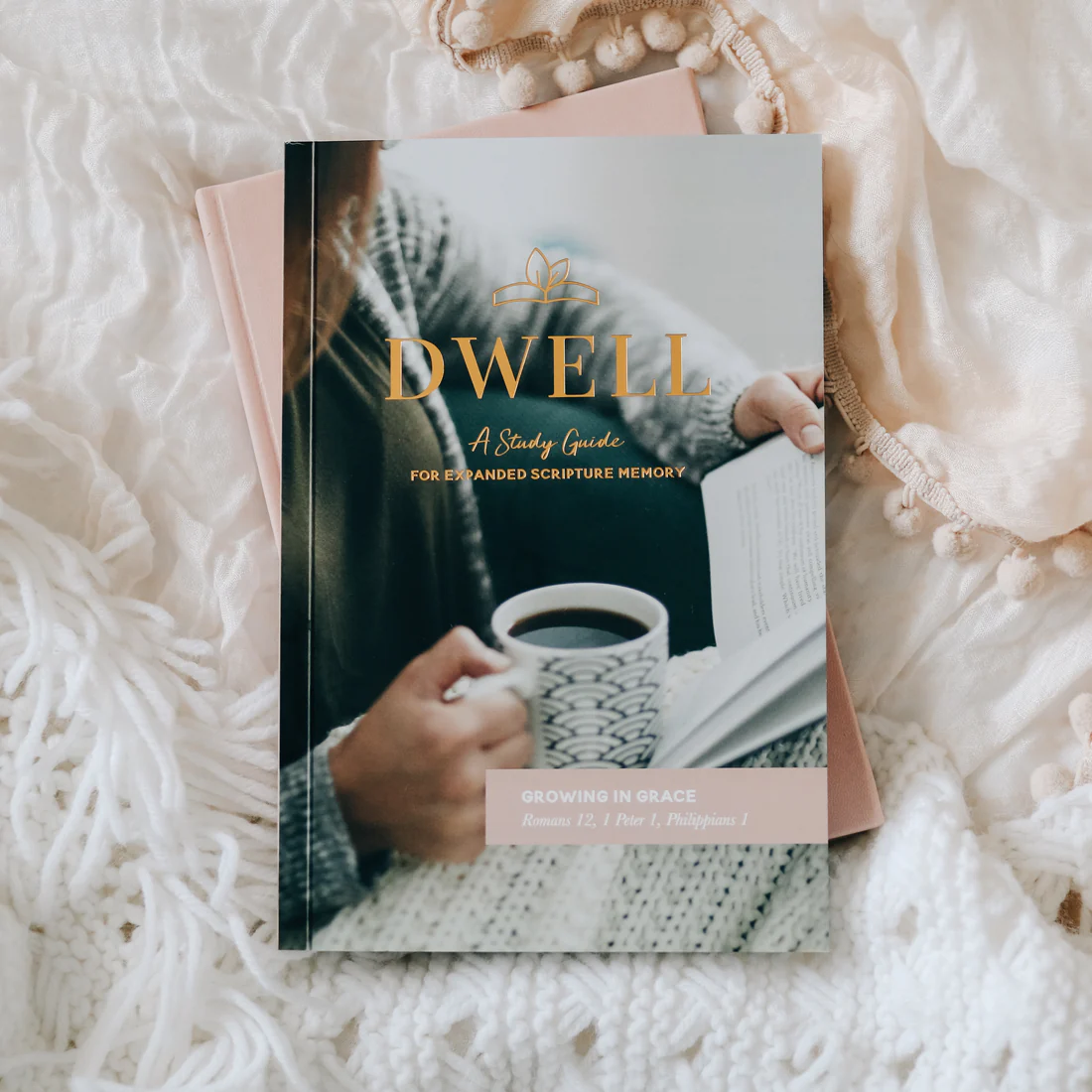 Dwell Scripture Memory Journal - Growing in Grace