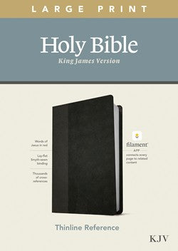 KJV Large Print Thinline Reference Holy Bible (Red Letter, Genuine Leather, Brown)