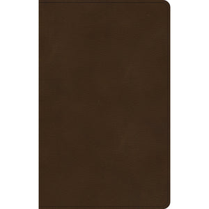 KJV Ultrathin Bible, Brown LeatherTouch