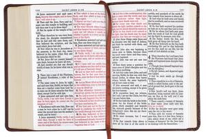Medium Brown Faux Leather Large Print Compact King James Version Bible